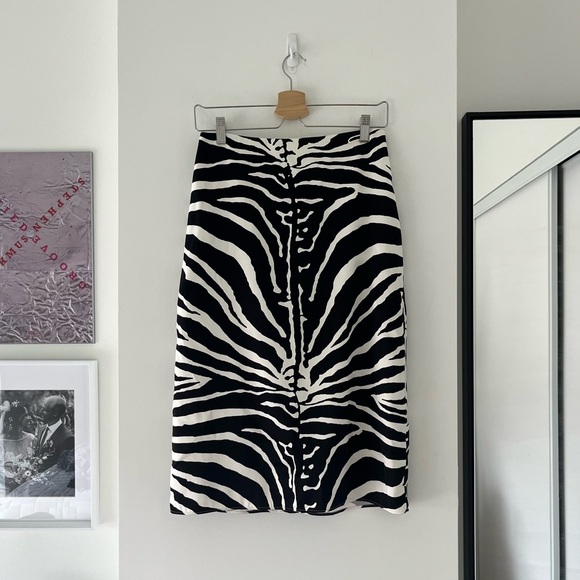 Carven Zebra Print Skirt Fall RTW 2013 - Picture 4 of 8